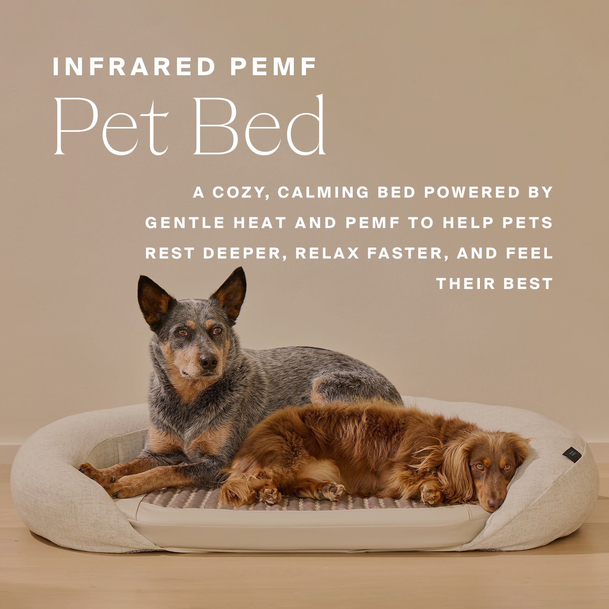 HigherDOSE Infrared PEMF Pet Bed – Recovery & Wellness Bed for Pets