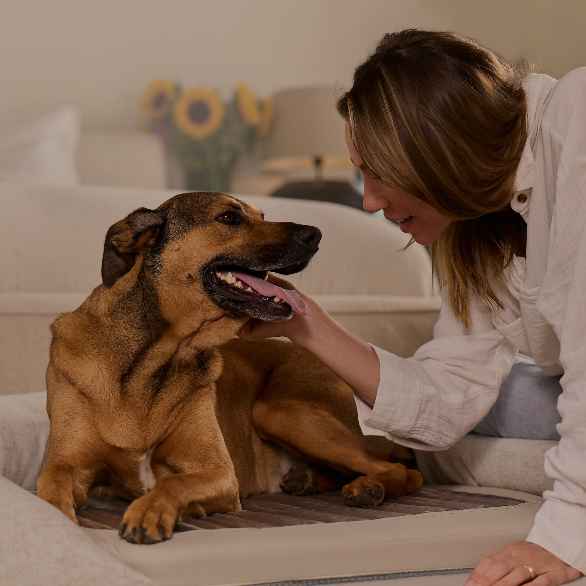 HigherDOSE Infrared PEMF Pet Bed – Recovery & Wellness Bed for Pets