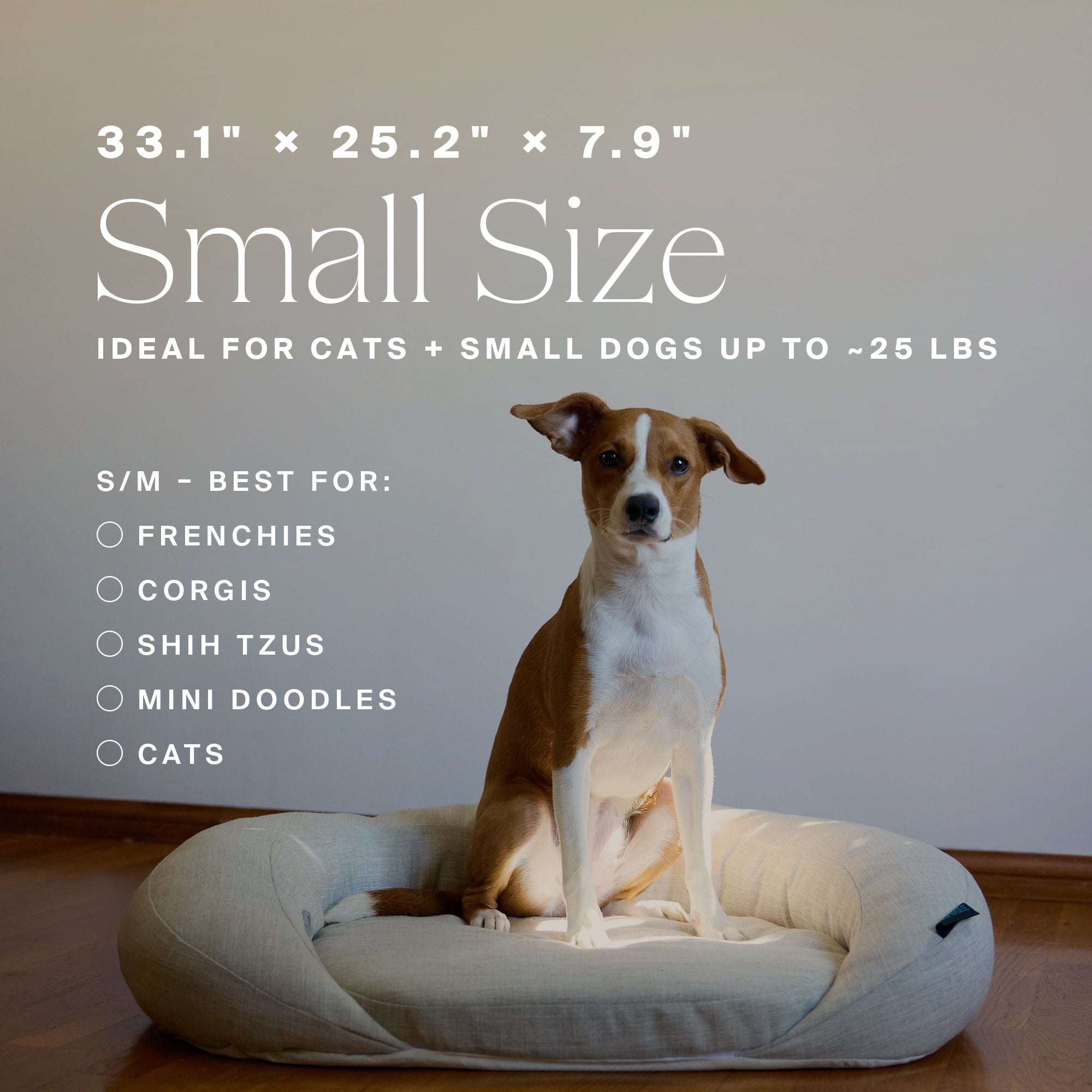 HigherDOSE Infrared PEMF Pet Bed – Recovery & Wellness Bed for Pets