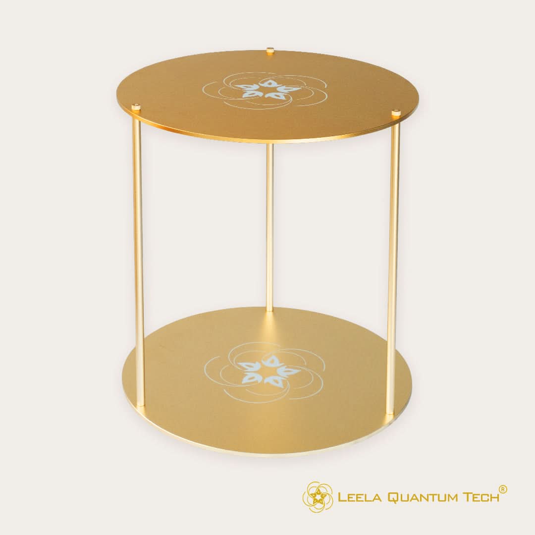 Leela Quantum Tech: Super Bloc - Elite Holistic Fitness