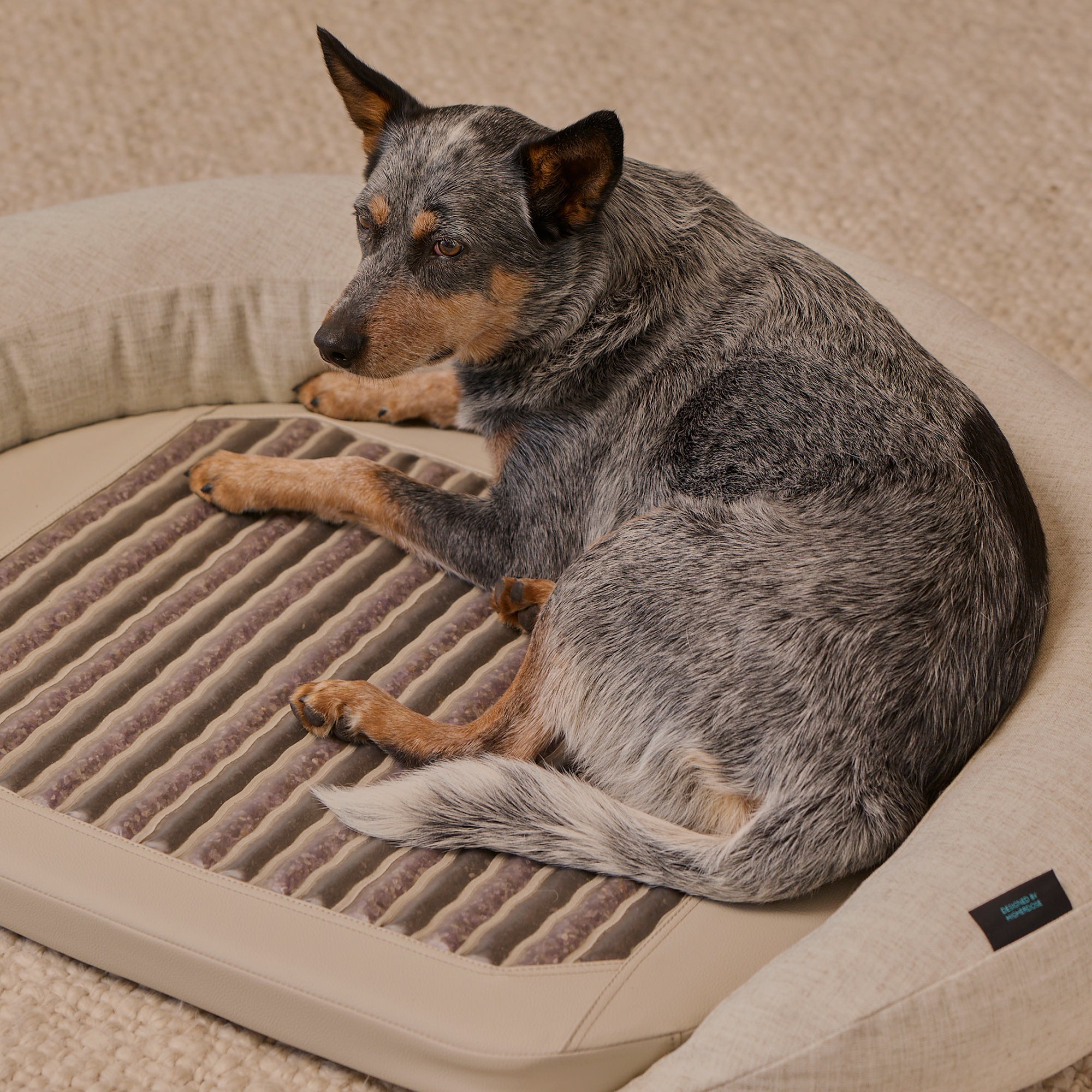 HigherDOSE Infrared PEMF Pet Bed – Recovery & Wellness Bed for Pets