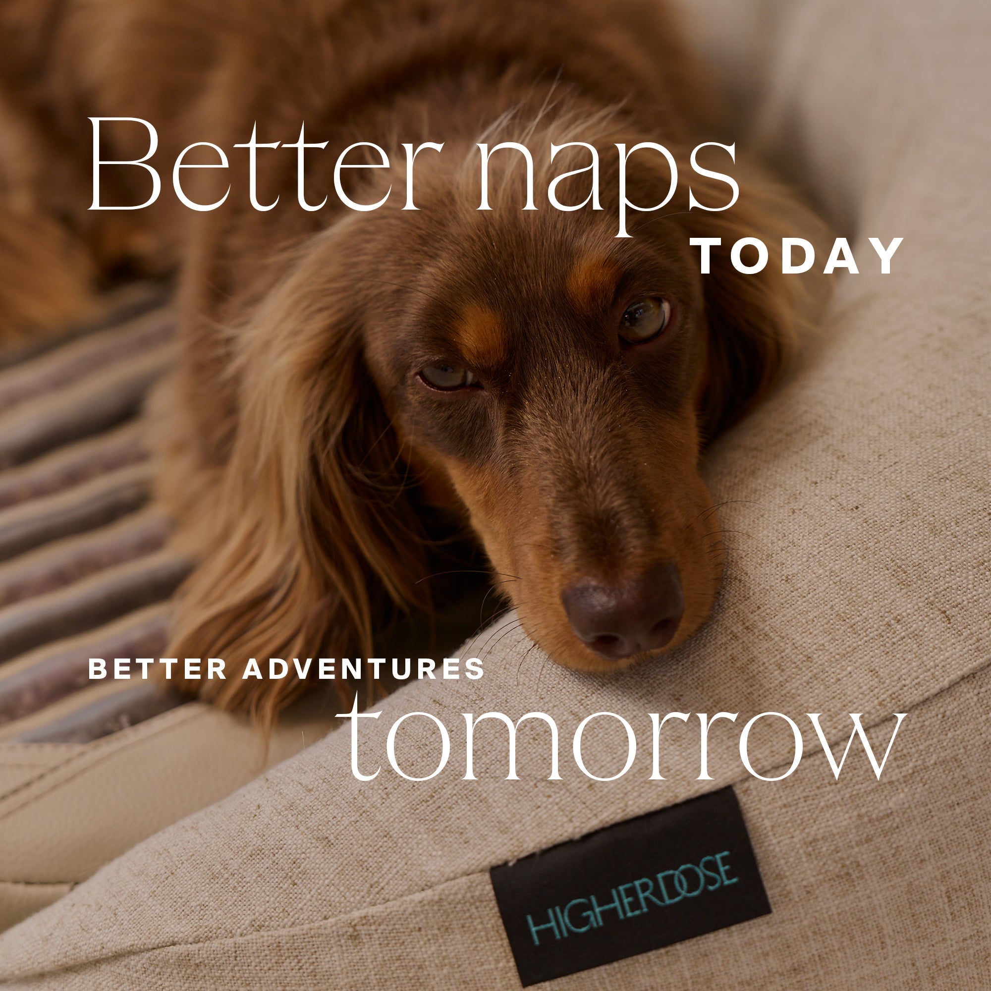 HigherDOSE Infrared PEMF Pet Bed – Recovery & Wellness Bed for Pets