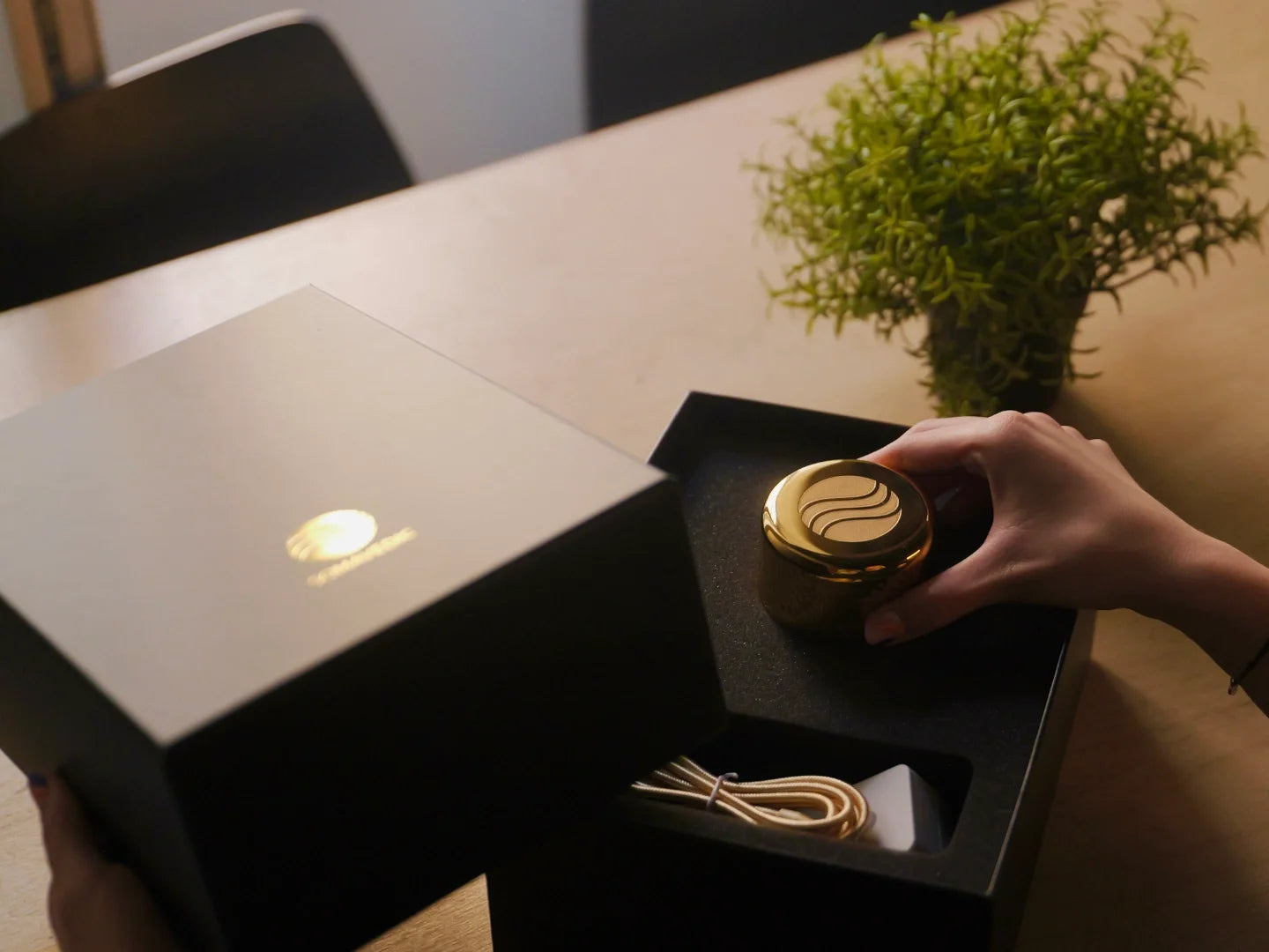Somavedic Elaura | Luxury EMF Harmonization & Water Structuring