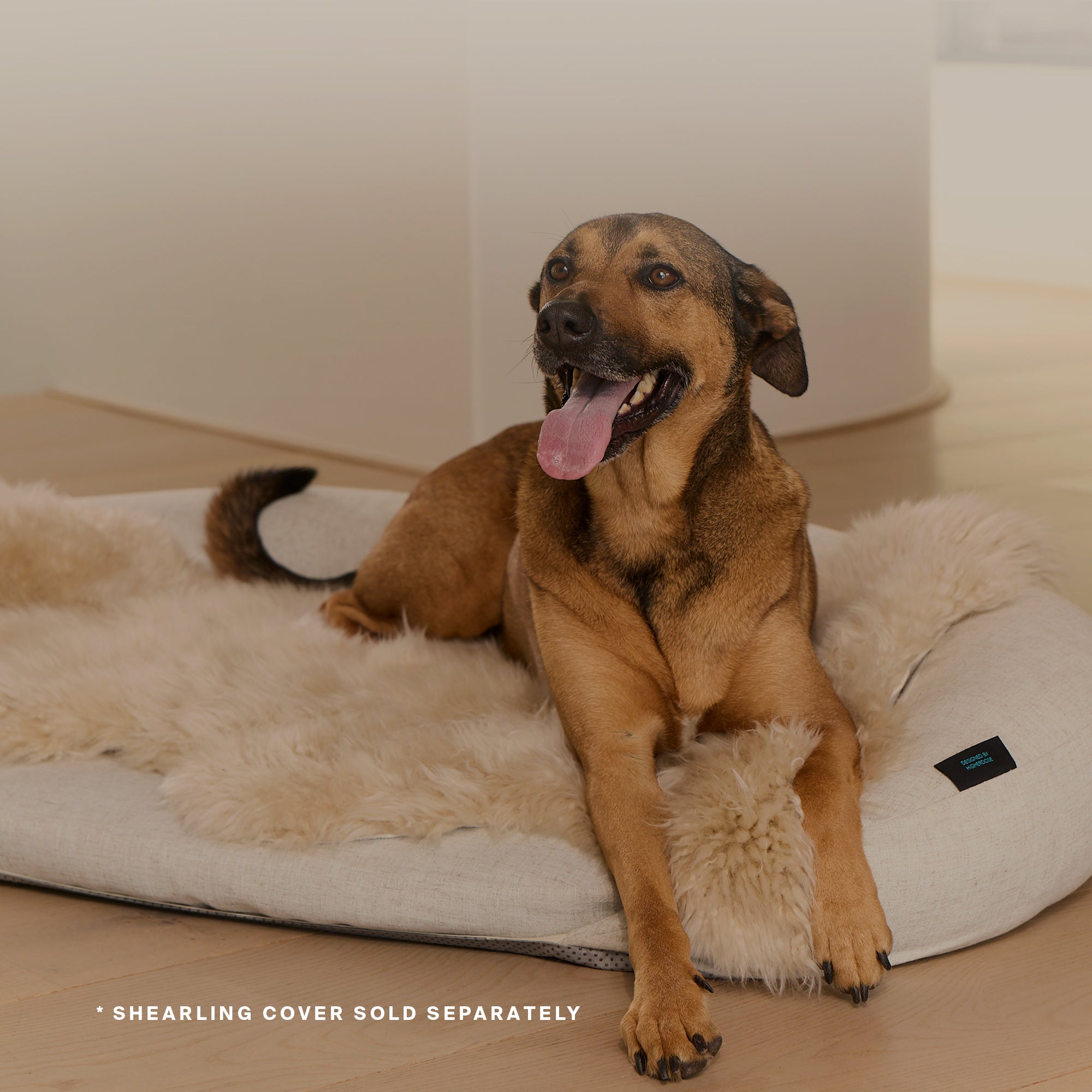 HigherDOSE Infrared PEMF Pet Bed – Recovery & Wellness Bed for Pets