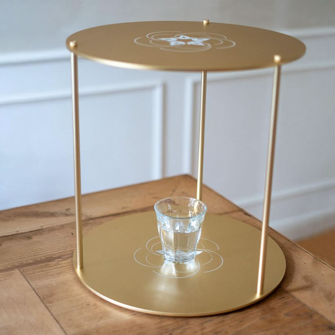 Leela Quantum Tech: Super Bloc - Elite Holistic Fitness