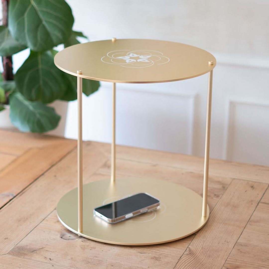 Leela Quantum Tech: Super Bloc - Elite Holistic Fitness