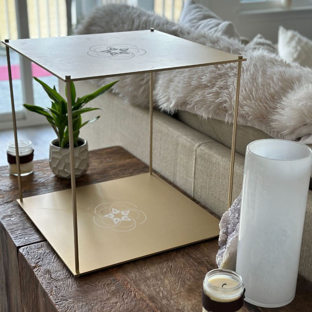 Leela Quantum Tech: Grand Bloc - Elite Holistic Fitness