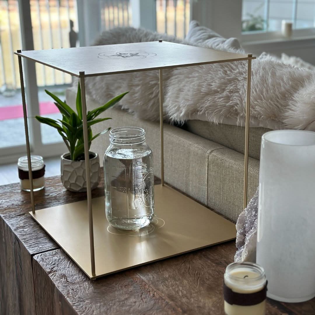 Leela Quantum Tech: Grand Bloc - Elite Holistic Fitness