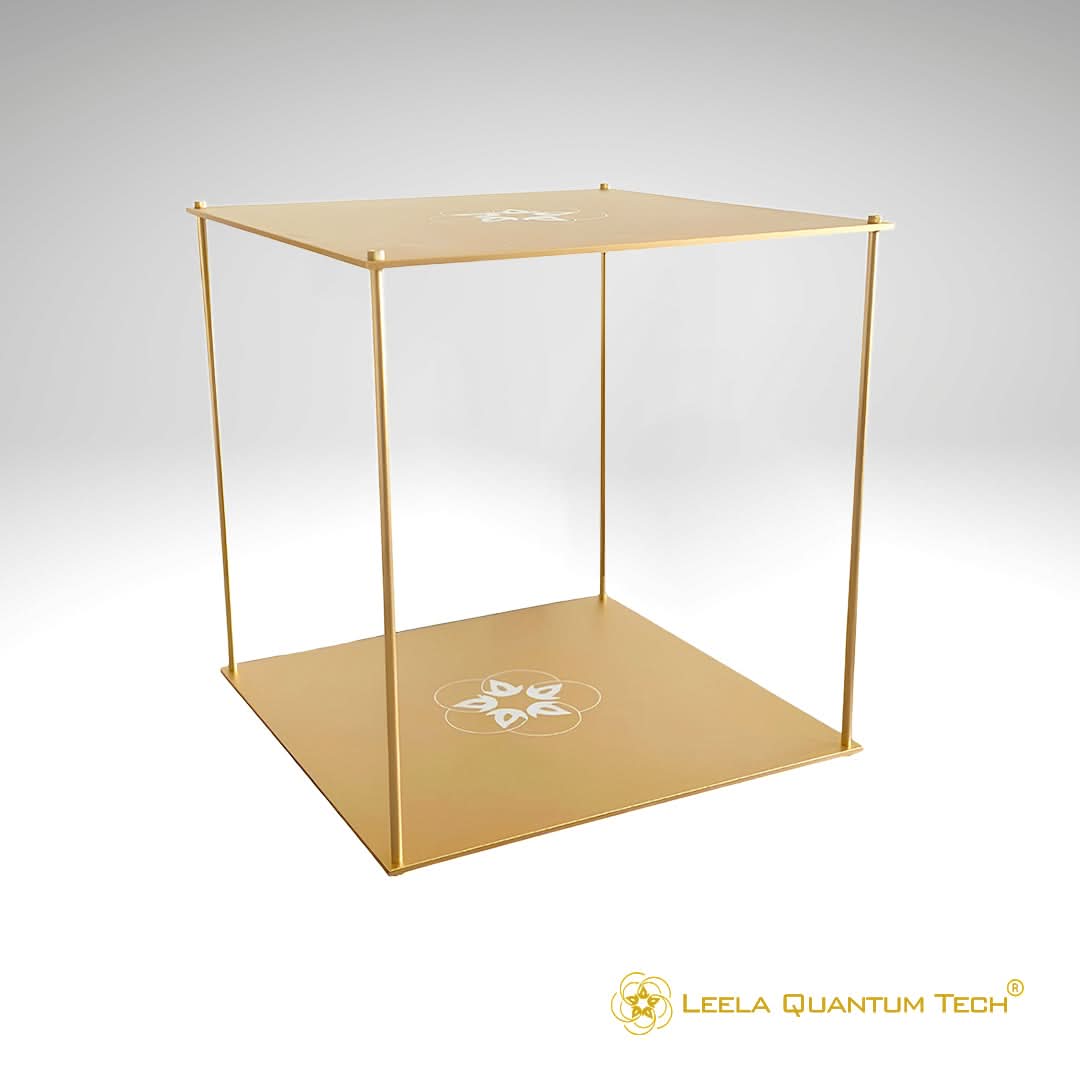 Leela Quantum Tech: Grand Bloc - Elite Holistic Fitness
