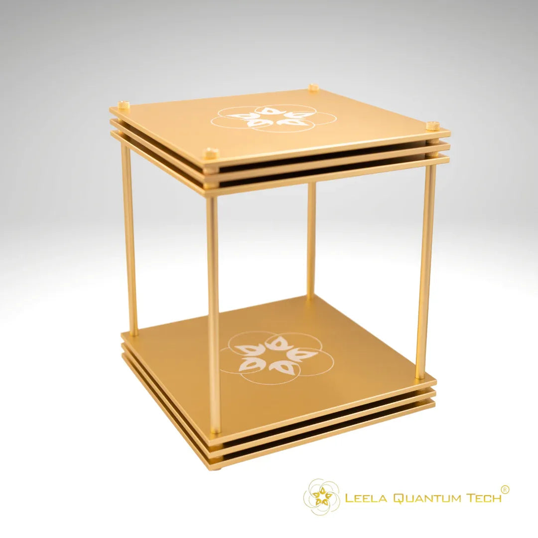 Leela Quantum Tech: Infinity Bloc Advanced - Elite Holistic Fitness