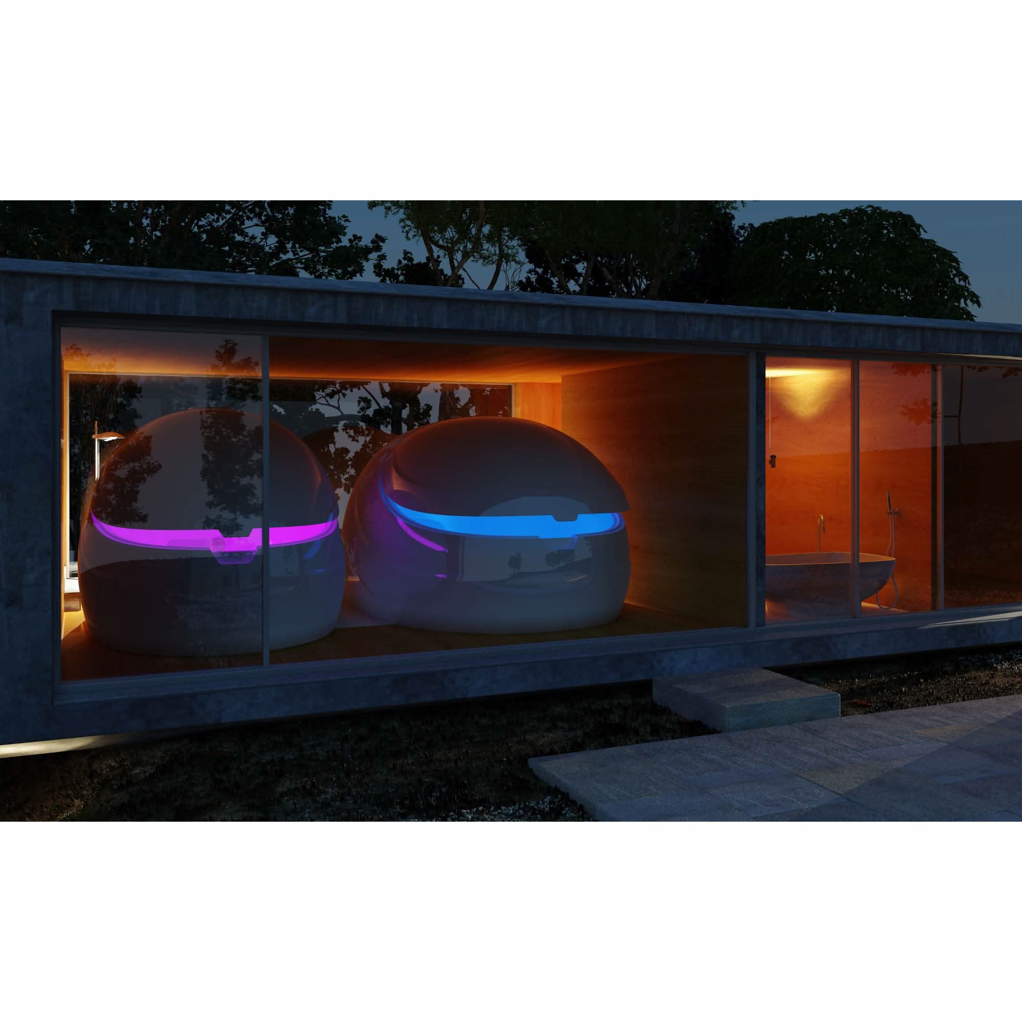 Dreampod: VMAX Float Pod - Elite Holistic Fitness