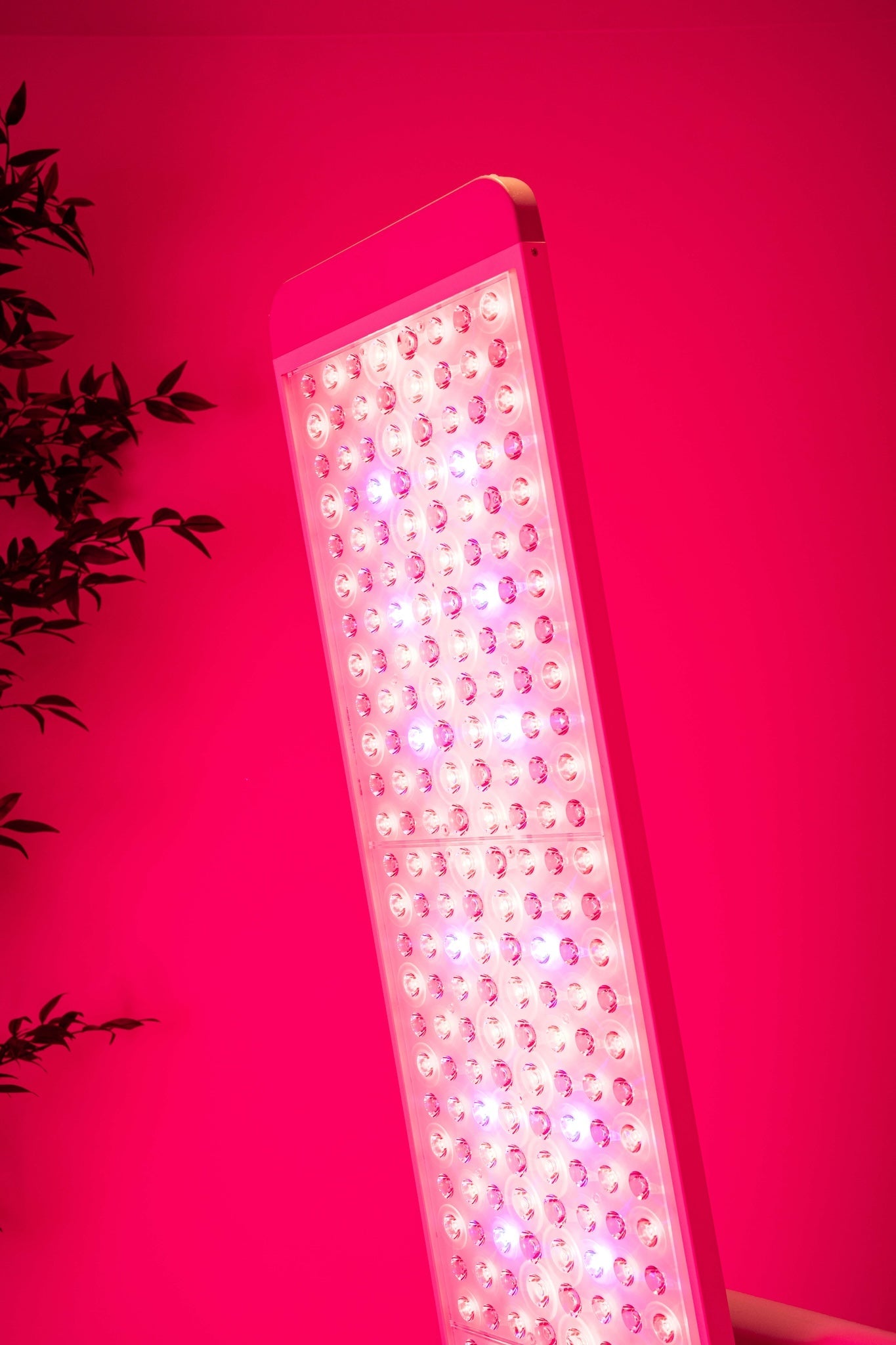 Renew Red Light NEW Panorama Panel – Versatile Full-Body Light Therapy System