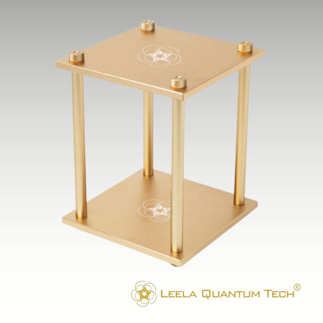 Leela Quantum Tech: Travel & Car Bloc - Elite Holistic Fitness