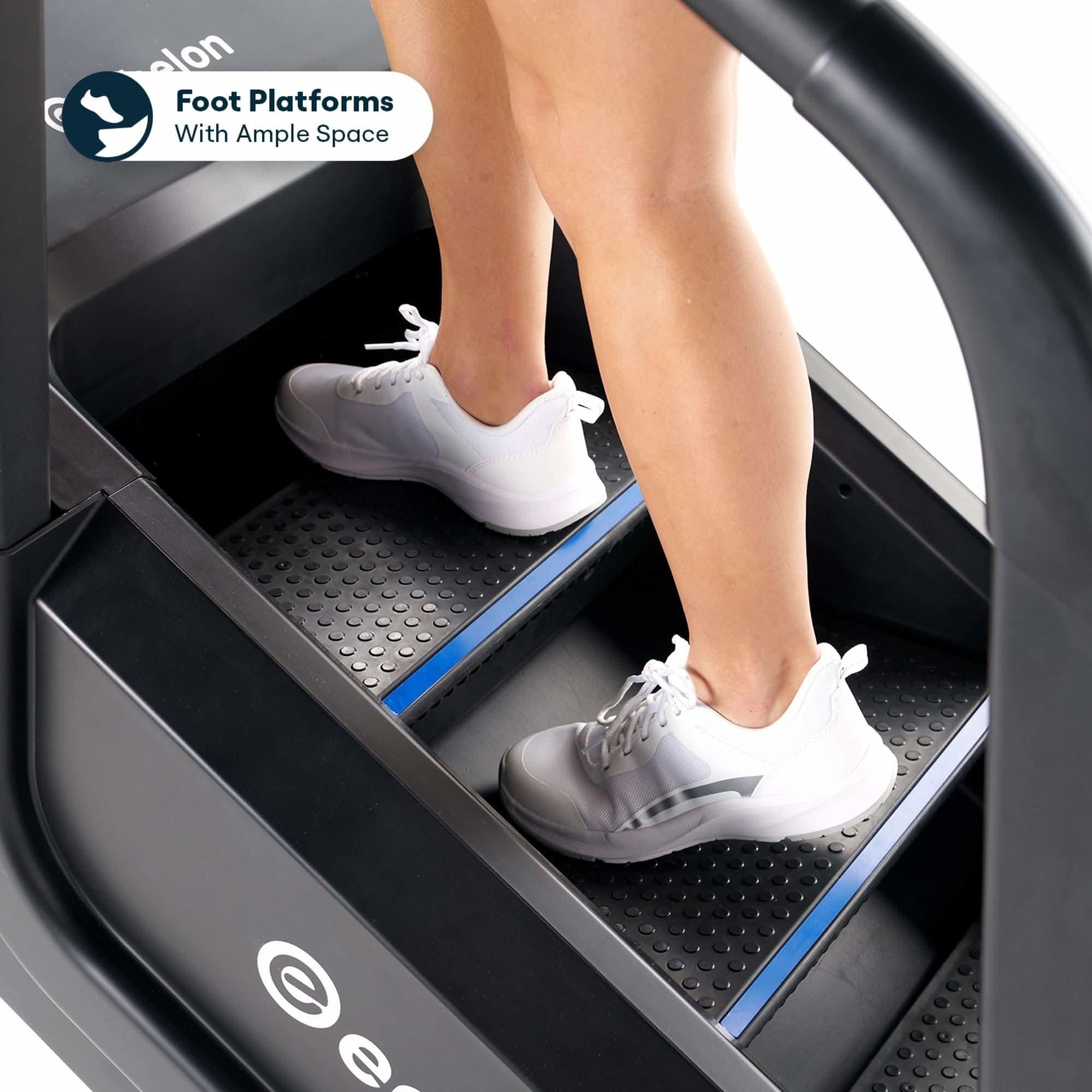 Echelon Fitness Summit Stairmill.