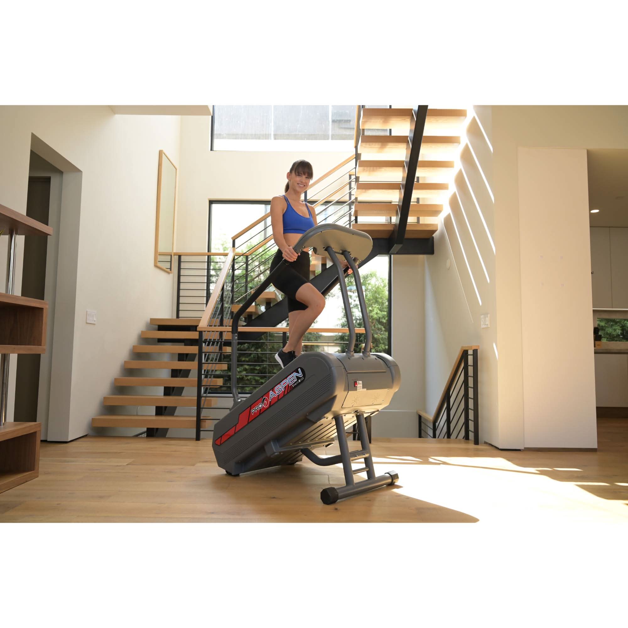 Pro 6 Aspen StairMill Stair Climber - Elite Holistic Fitness