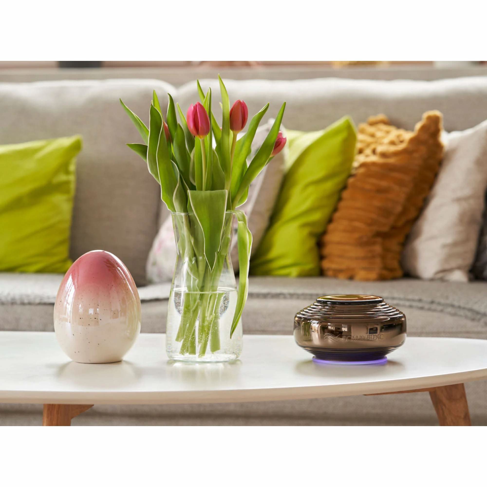 Somavedic Anthracite - Elite Holistic Fitness