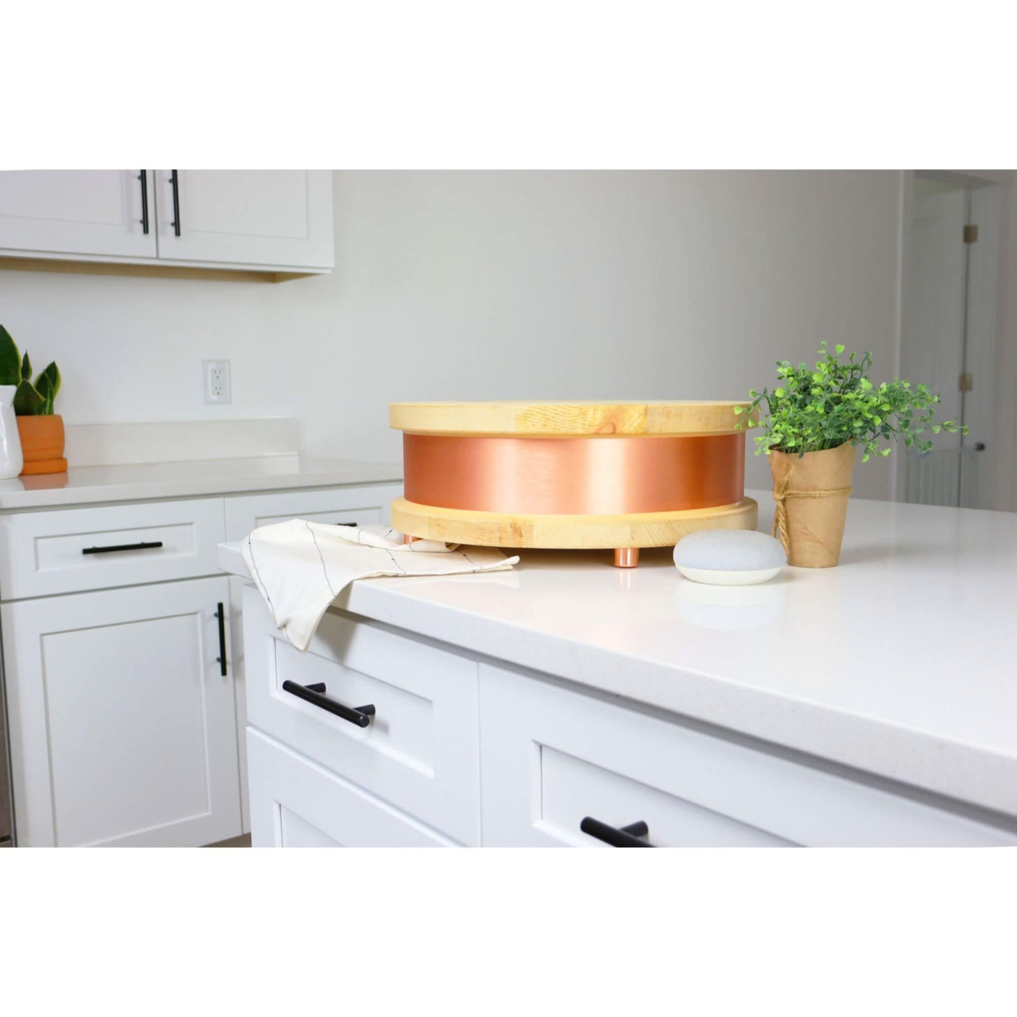 Qi-Home Cell EMF Protection with Waveguard Technology.