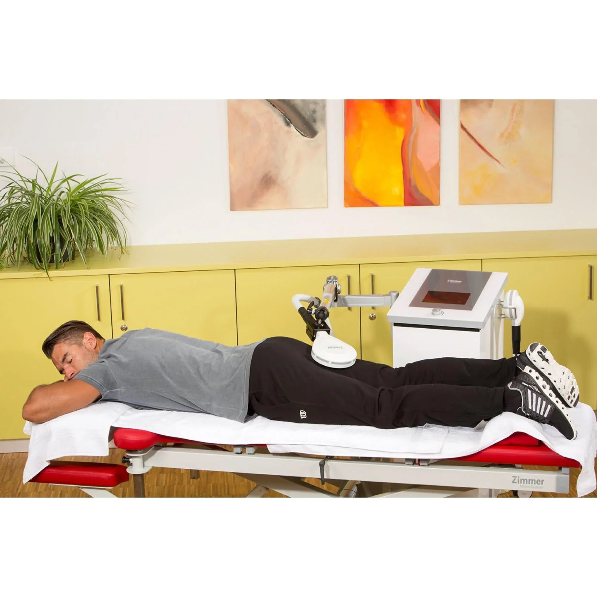 Zimmer emField Pro High Energy Inductive Therapy - Elite Holistic Fitness