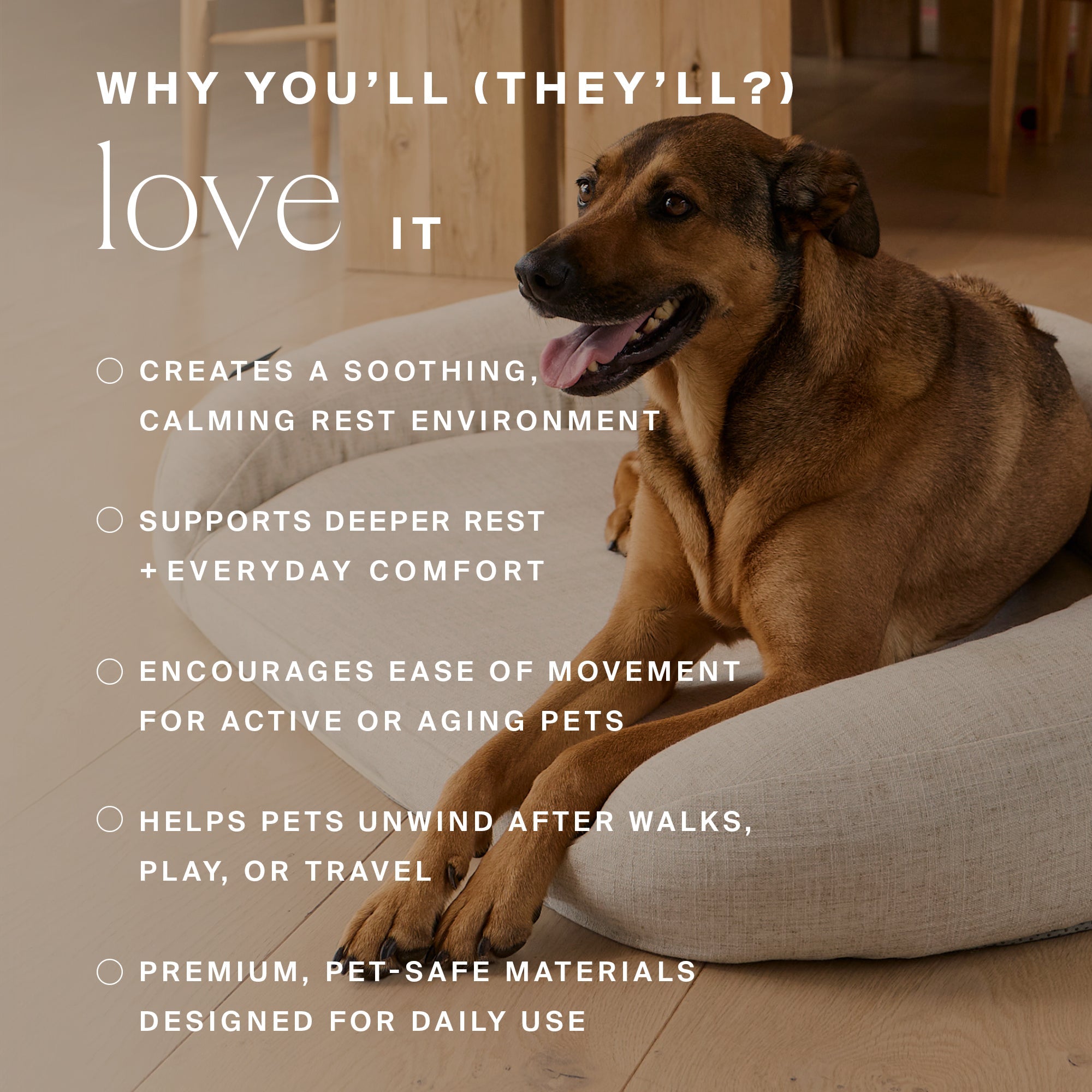 HigherDOSE Infrared PEMF Pet Bed – Recovery & Wellness Bed for Pets