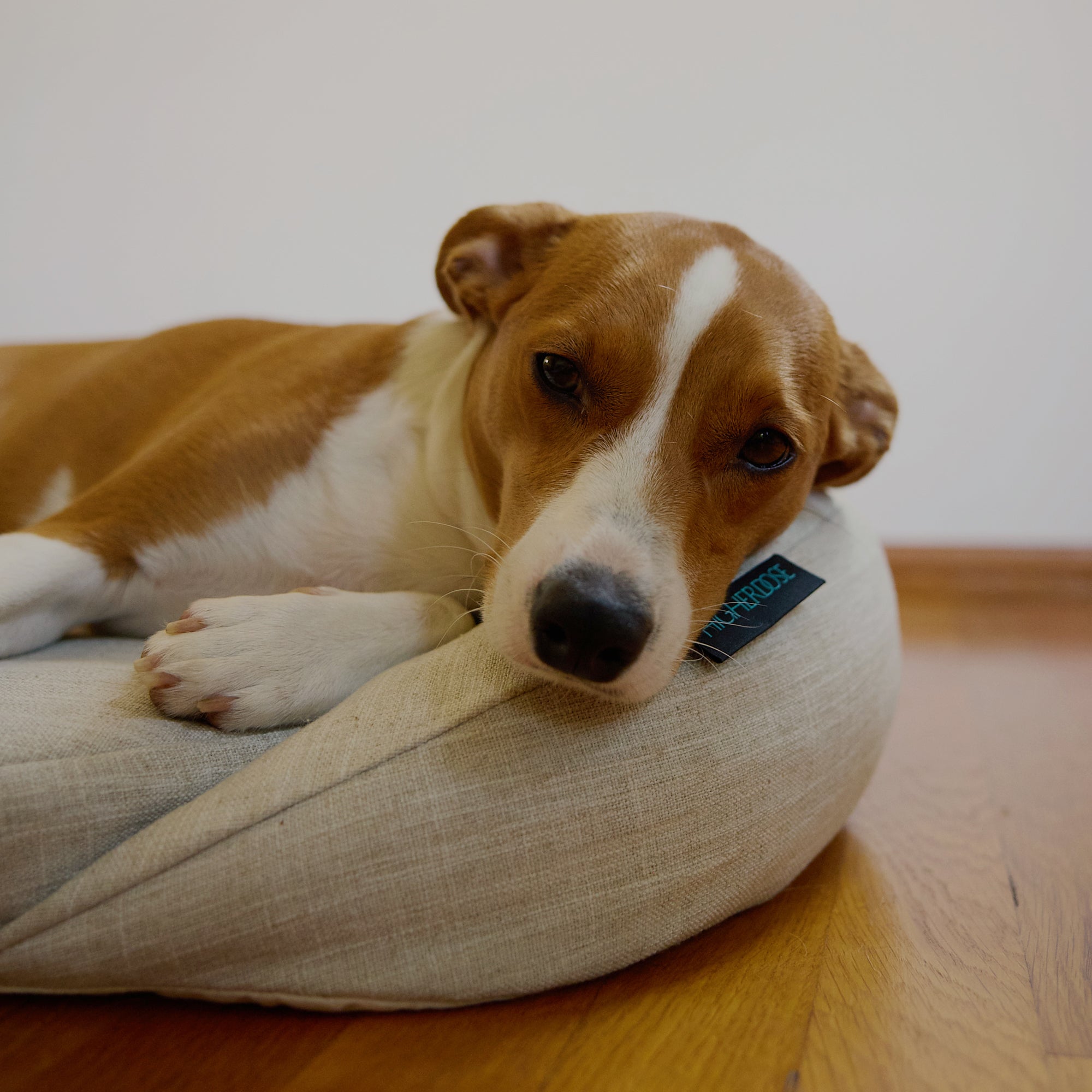 HigherDOSE Infrared PEMF Pet Bed – Recovery & Wellness Bed for Pets