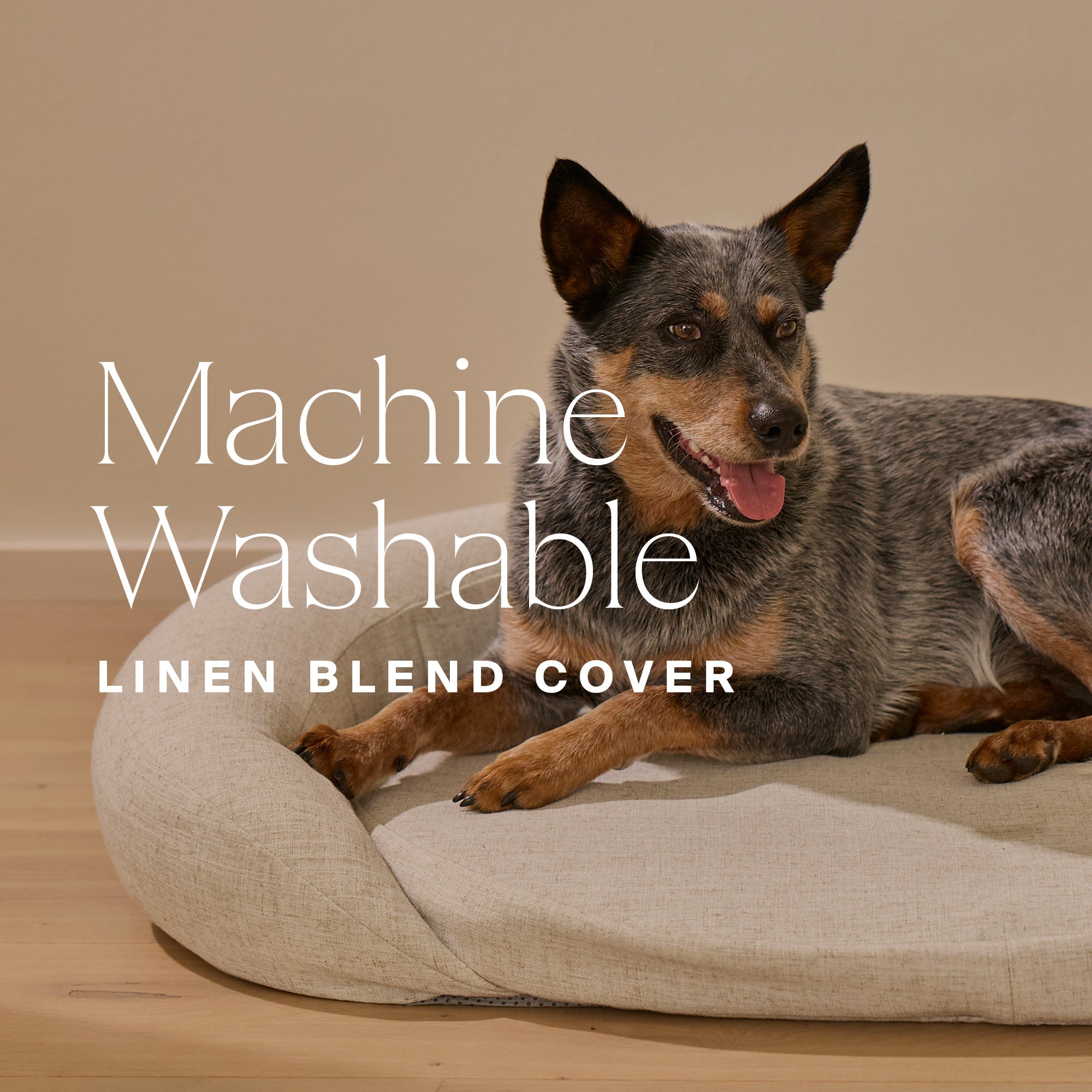 HigherDOSE Infrared PEMF Pet Bed – Recovery & Wellness Bed for Pets