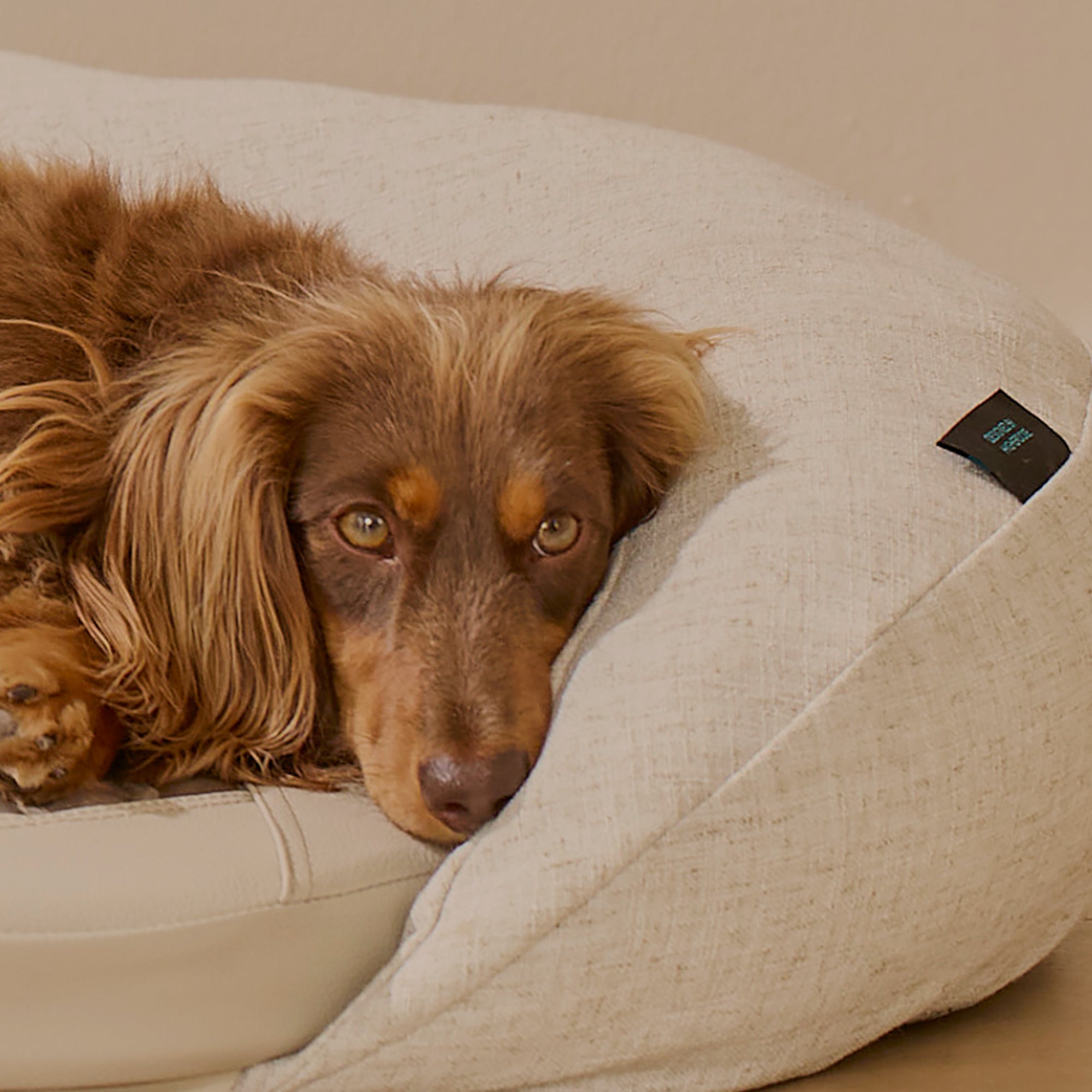 HigherDOSE Infrared PEMF Pet Bed – Recovery & Wellness Bed for Pets