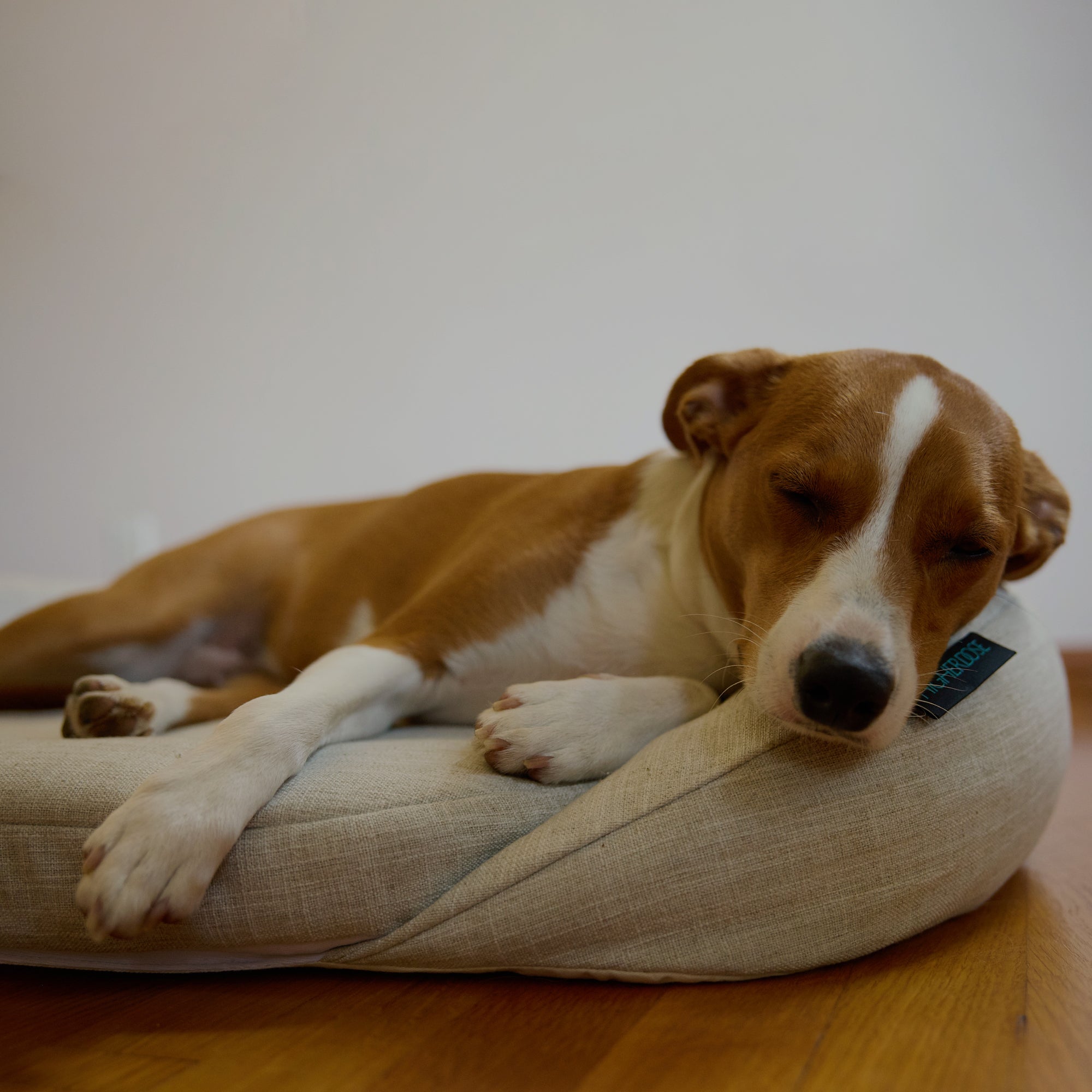 HigherDOSE Infrared PEMF Pet Bed – Recovery & Wellness Bed for Pets