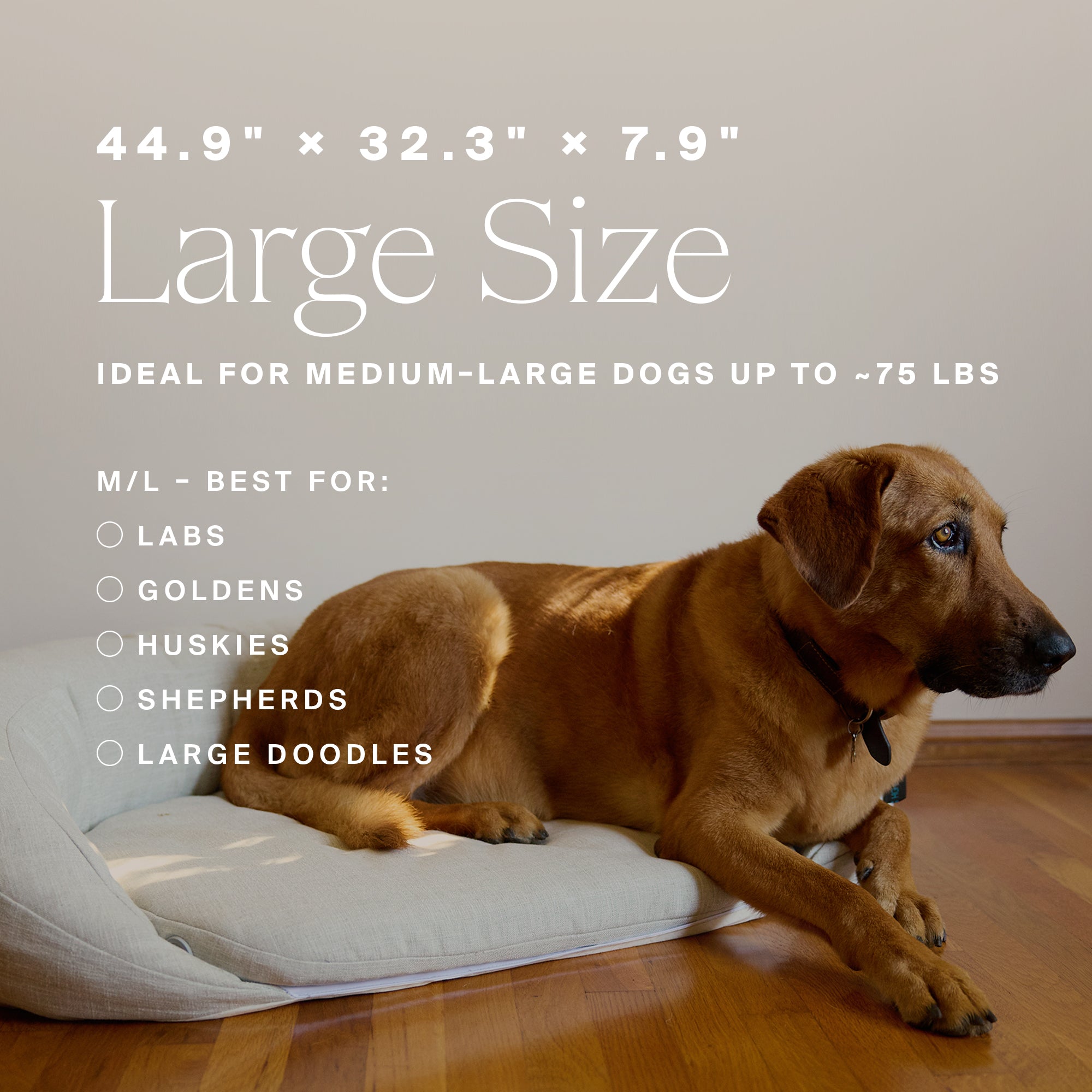 HigherDOSE Infrared PEMF Pet Bed – Recovery & Wellness Bed for Pets
