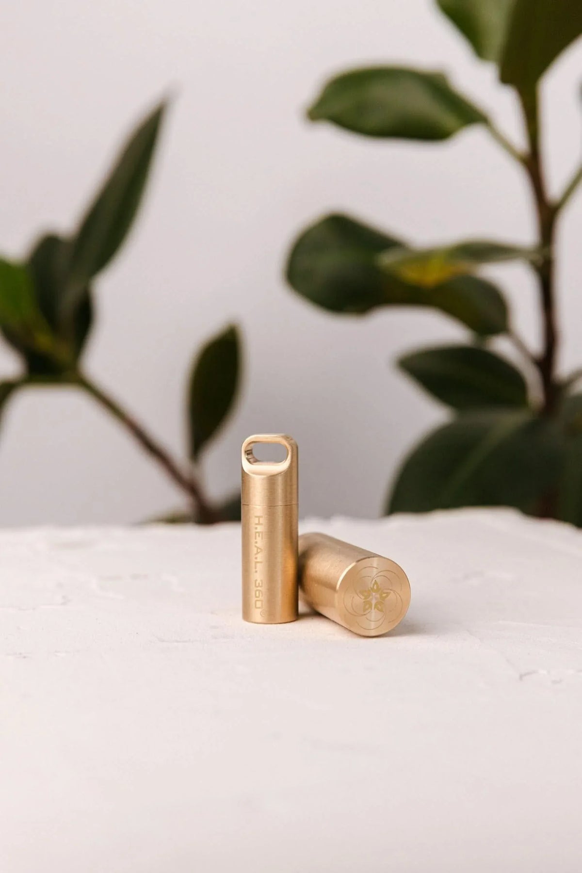 Leela Quantum H.E.A.L.® 360 Petite Capsule - Elite Holistic Fitness