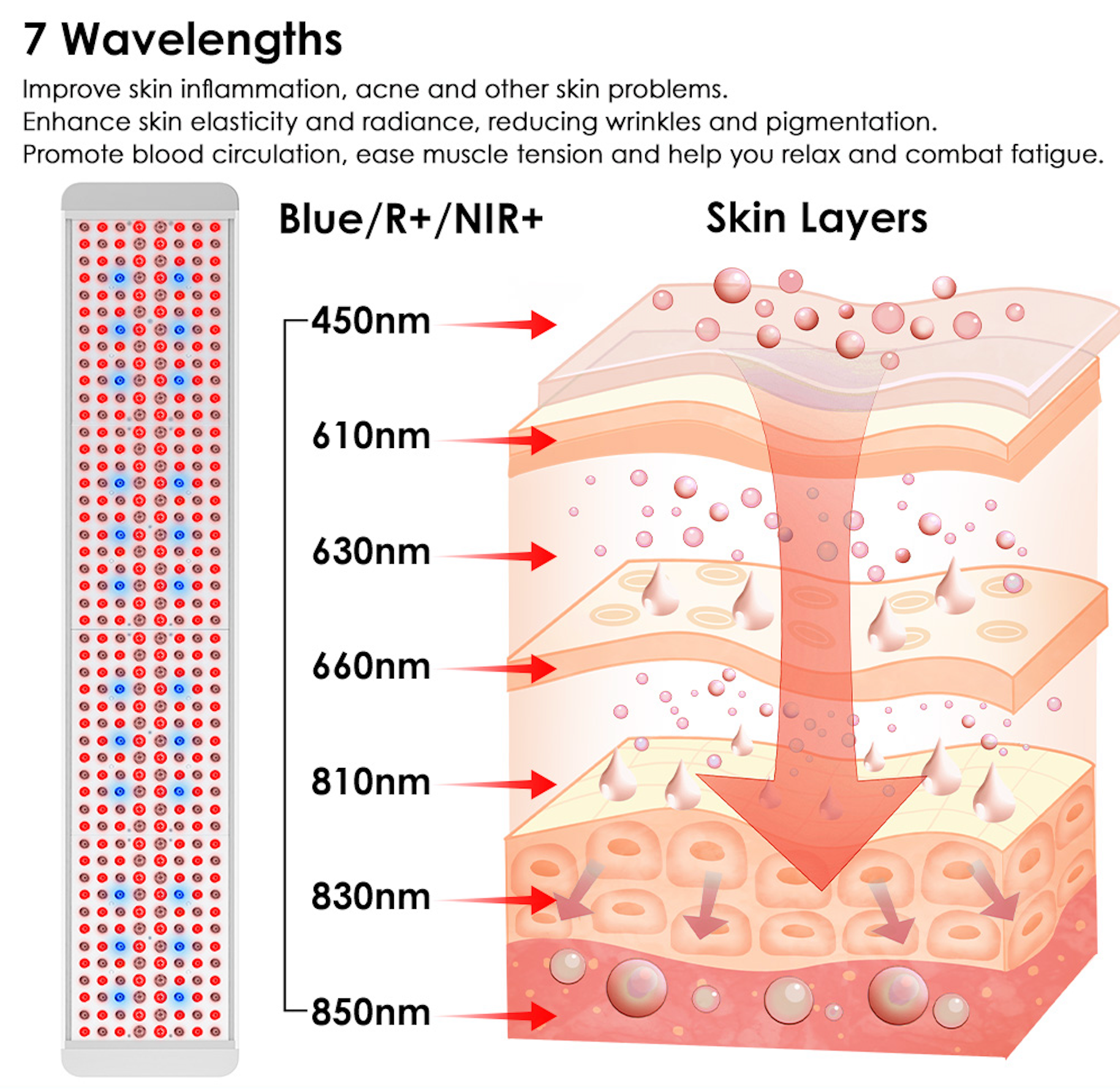 Renew Red Light NEW Panorama Panel – Versatile Full-Body Light Therapy System