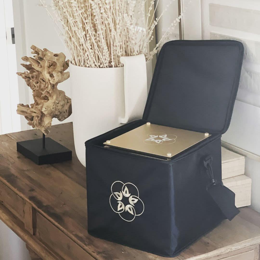 LeelaQ Bag for Quantum & Infinity Blocs.