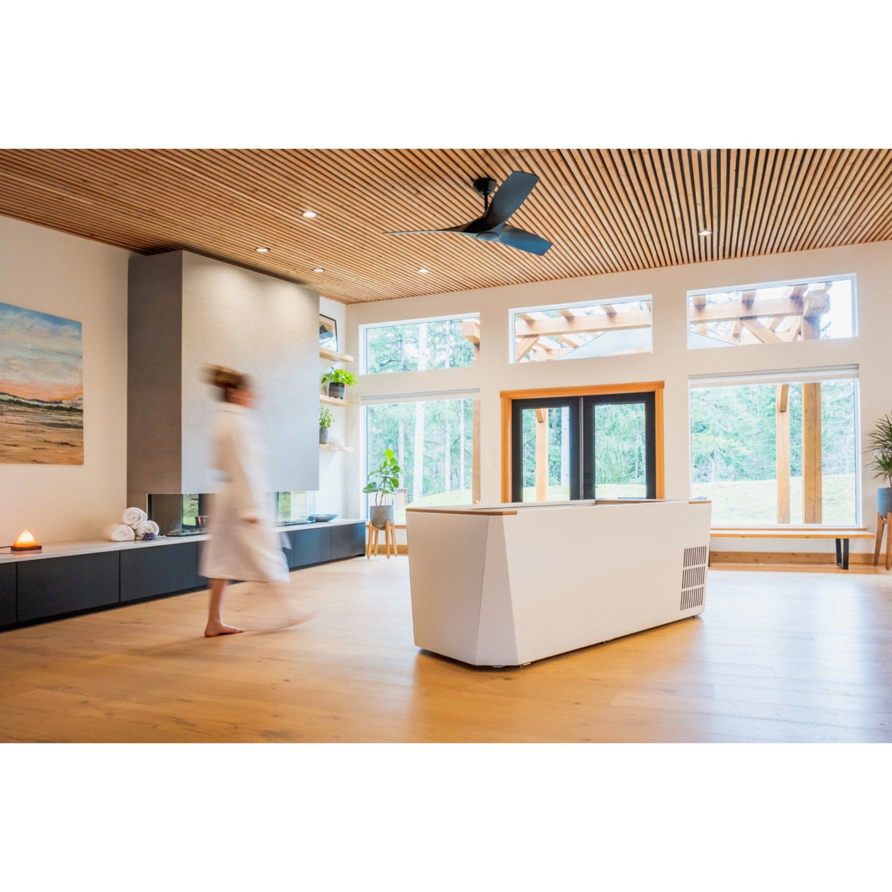 Eureka Spas: Home Cold Plunge