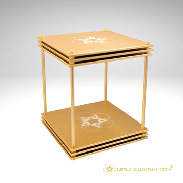Leela Quantum Tech: Infinity Bloc Advanced - Elite Holistic Fitness