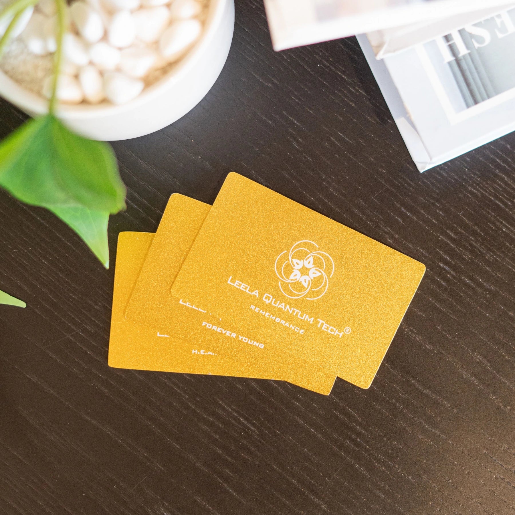 Leela Quantum Frequency Cards | Quantum Energy Cards for Everyday Wellness