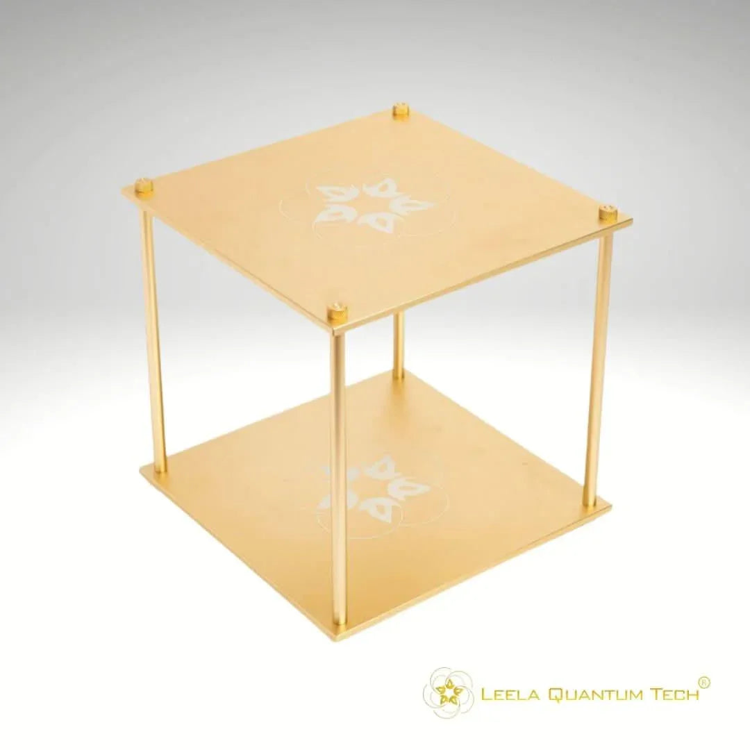 Leela Quantum Tech: Quantum Bloc - Elite Holistic Fitness