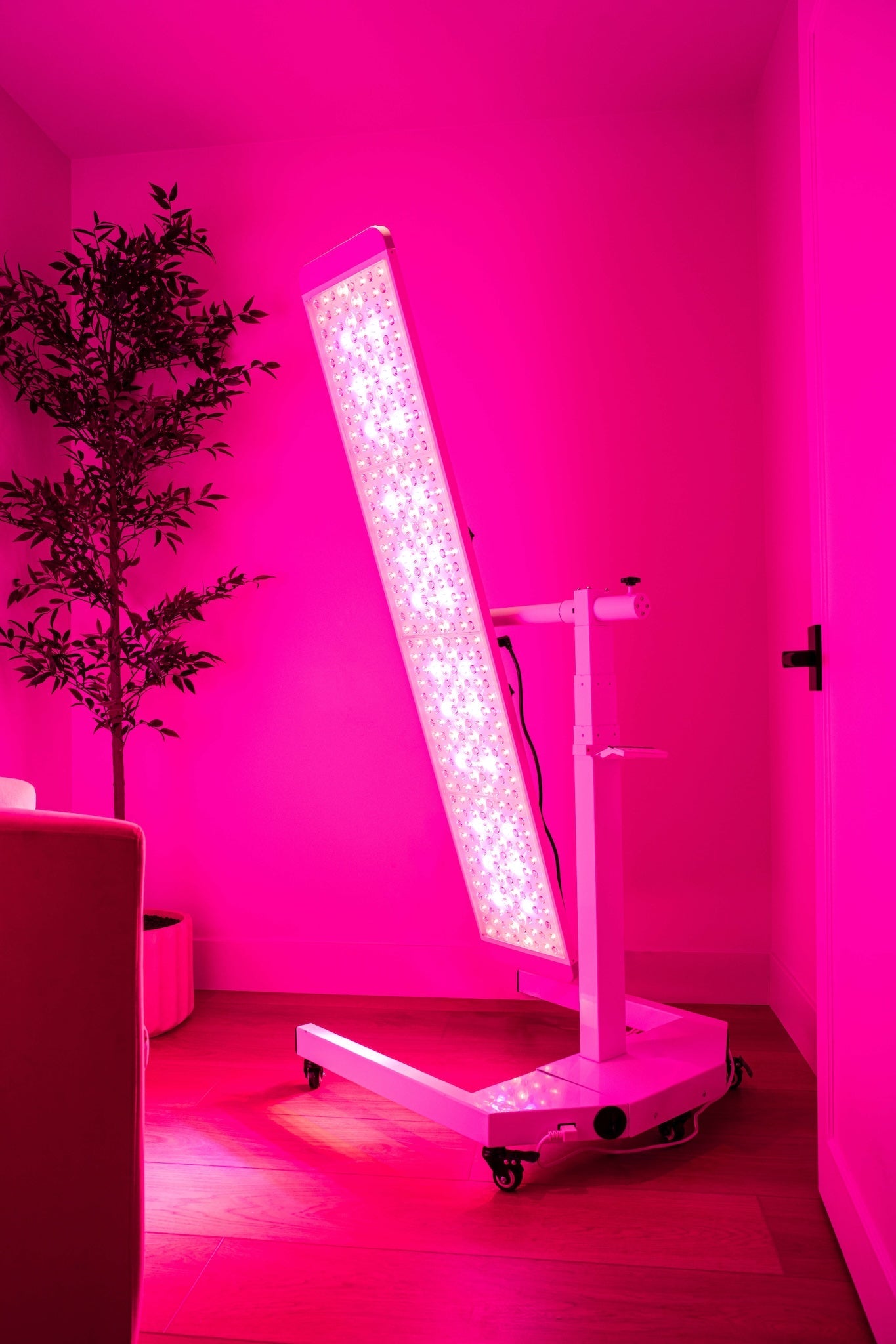 Renew Red Light NEW Panorama Panel – Versatile Full-Body Light Therapy System