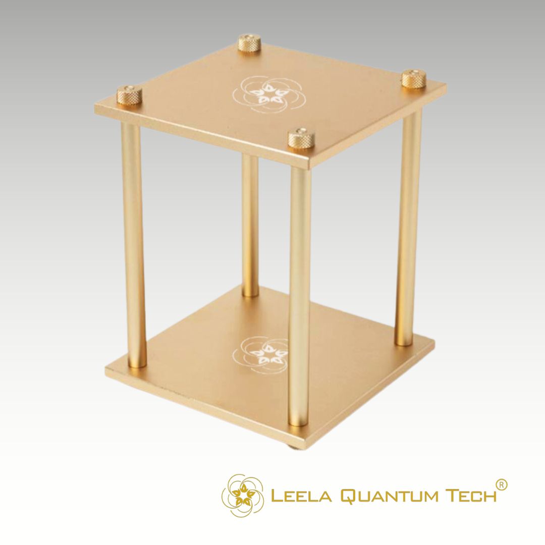 Leela Quantum Tech: Travel & Car Bloc - Elite Holistic Fitness