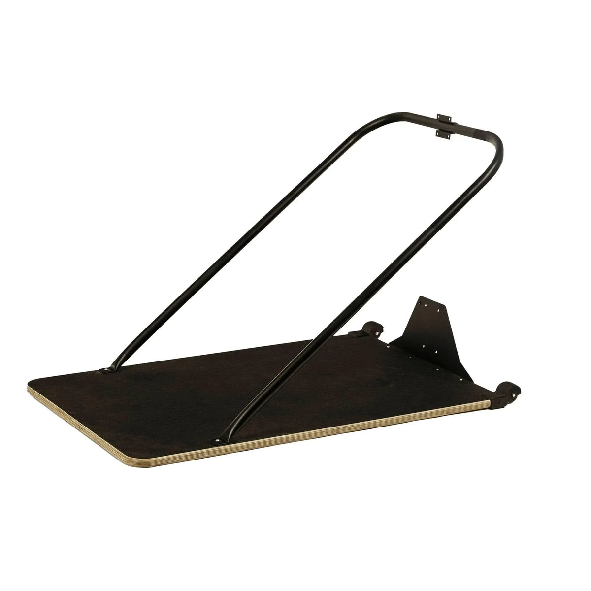 Concept2: SkiERG - Elite Holistic Fitness