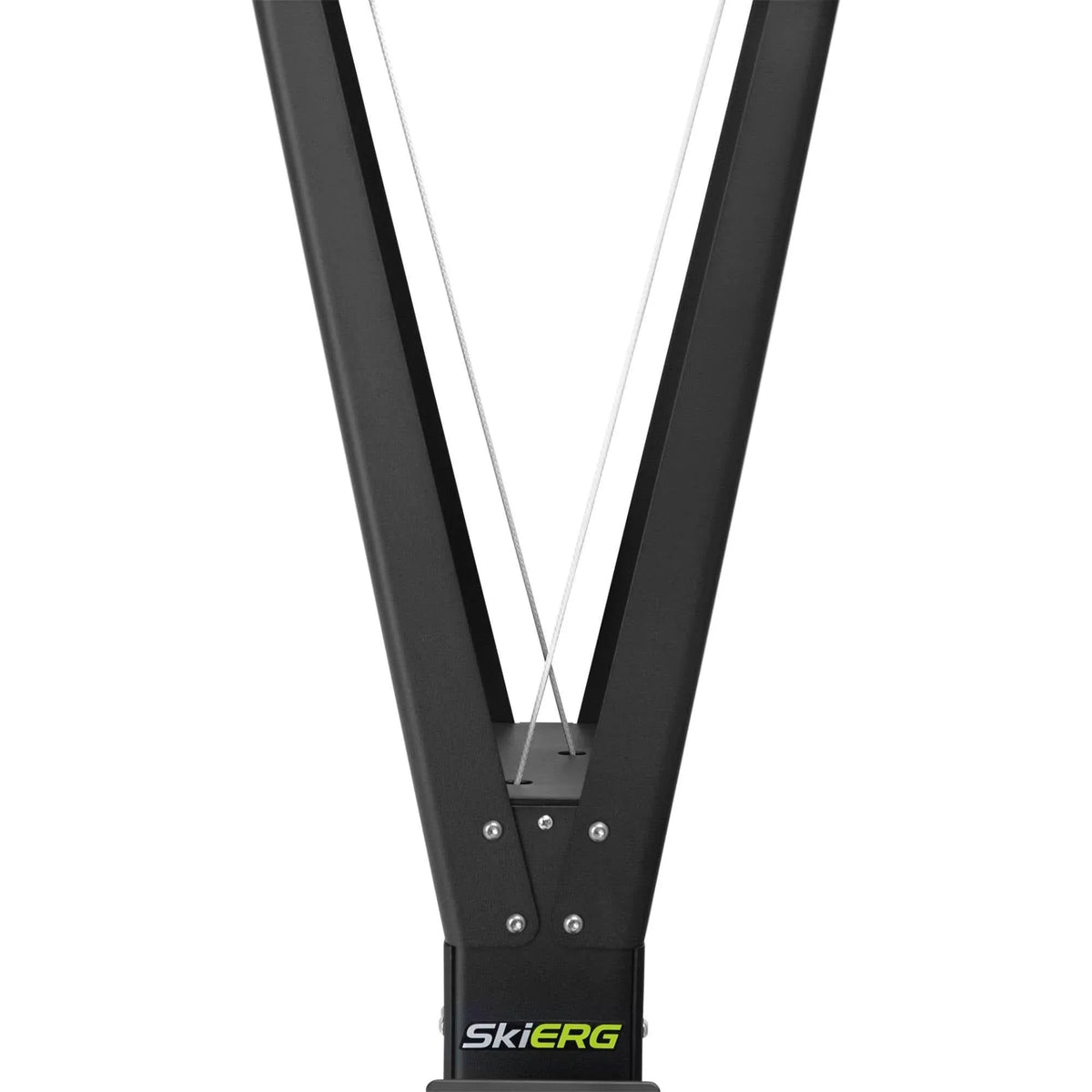 Concept2: SkiERG - Elite Holistic Fitness