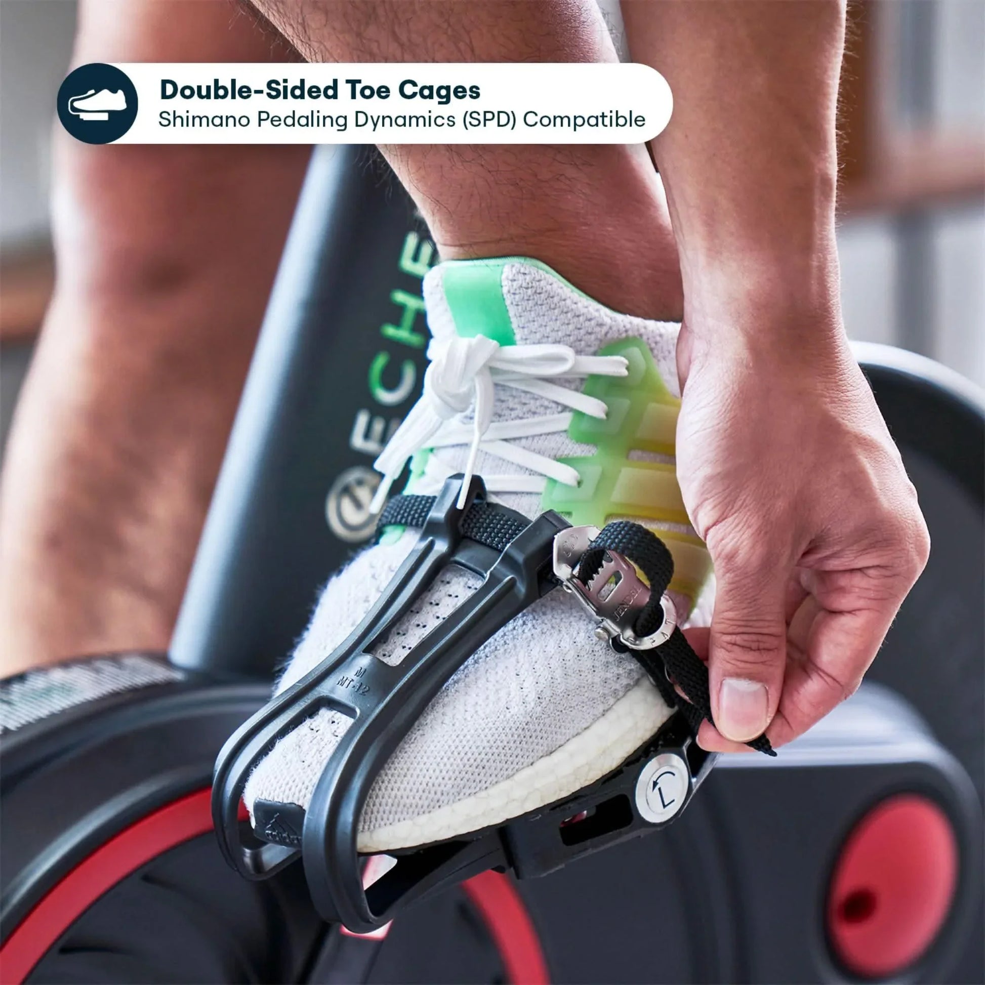 Echelon Connect EX-5s-22 Indoor Bike - Elite Holistic Fitness